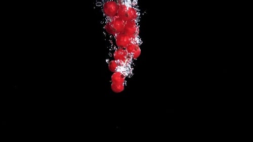 Red Currant Falls Underwater with Bubbles