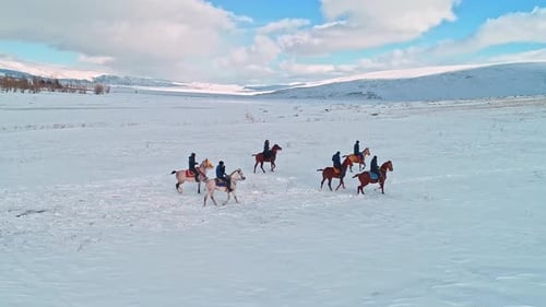 Horseback Riding Winter