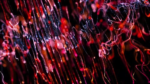 Colorful Abstract Background Loop V2