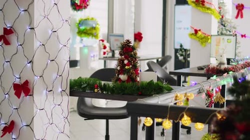 Mini Christmas Pine Tree in Office