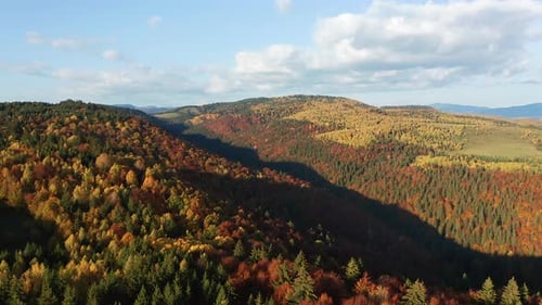 Vue aérienne montrant les contreforts d'une montagne recouverte d'une forêt automnale