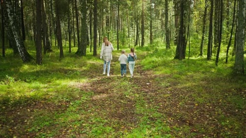Rear View of Elder Sister Walking Beside Two Children in Forest Trail