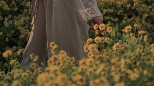 A Womans Hand Gently Touches Beautiful Yellow Flowers in a Scenic and Colorful Field