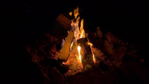Cam Fire