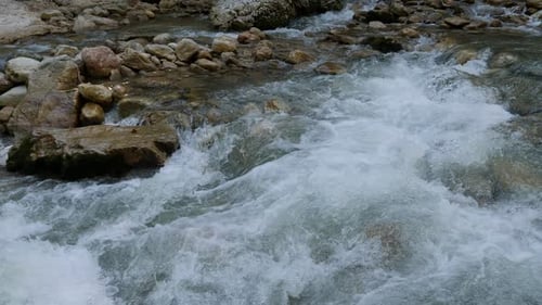 Fast Noisy Mountain River in the Gorge in Summer River Rapids