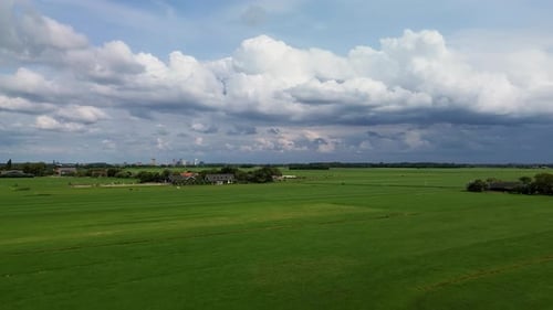 This image shows a wide, green pasture dotted with cows grazing under a partly cloudy sky.