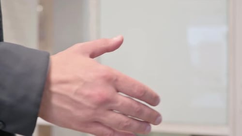 Hands Close Up of Business People Shaking Hand