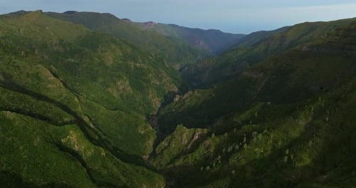 Aerial View on the Forest Tree Region Summer Time Season to Trip to Nature Natural Travel Outdoor