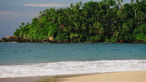 Tropical Mirissa Beach with Waves Lagoon in Sri Lanka Surrounded By Lush Palm Trees Sandy Shore
