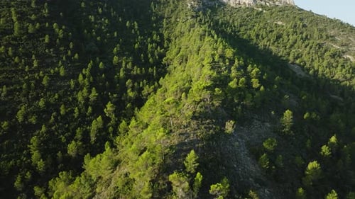 Sonnenlicht bewegt sich über den Wald am Berghang