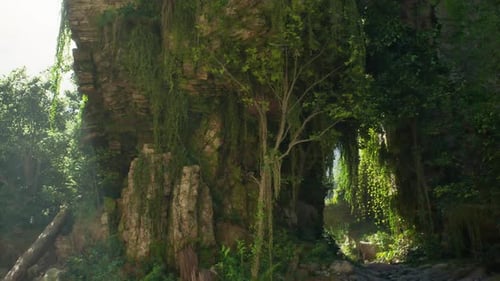 Exploration d'une végétation luxuriante sous une canopée rocheuse dans le paysage naturel de la Thaïlande