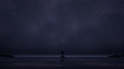 Amazing Starry Sky Over Sea At Night