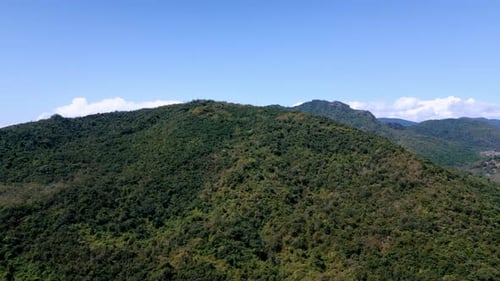 Aerial View on Forest Nature and Green Wood Trees in Landscape of Mountain Hills