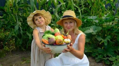 Vegetable Harvest with a Woman in a Garden Selective Focus