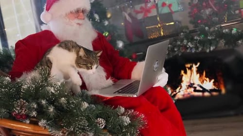 Le Père Noël félicite ses amis via un appel vidéo depuis un ordinateur portable, assis dans un fauteuil avec un chat dans ses bras