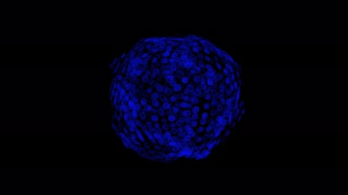 3D Liquid Fantasy Sphere | 4K