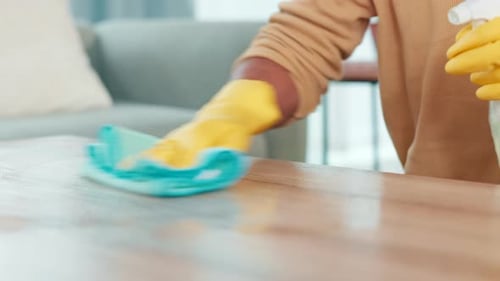 Adult Cleaning Surface with Disinfectant Spray and Cloth