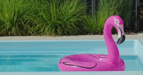 Piscina inflável em forma de flamingo flutuando à deriva em uma piscina