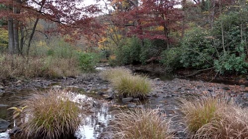 A small stream flowing through the forest on a cool autumn day in the mountains.