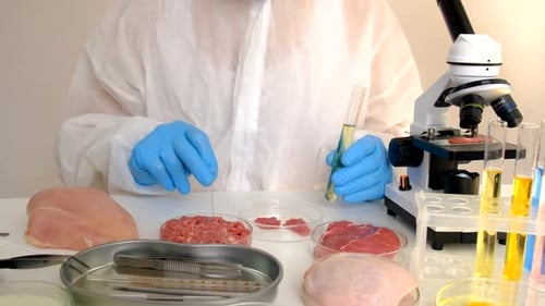 Scientist Analyzing Raw Meat in Lab