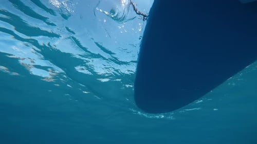 Stand Up Paddle From the Underwater