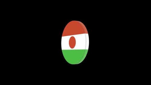 Icono de vídeo redondo de la bandera de Níger