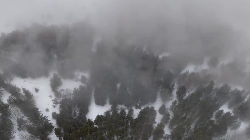 Aerial View of Snowy Forest Covered in Fog