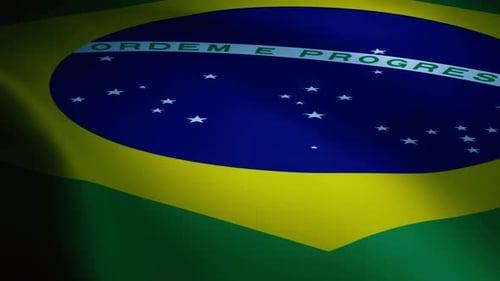 Brasil Flag