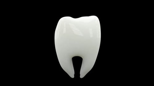 Seamlessly Looping 3D White Tooth Rotation