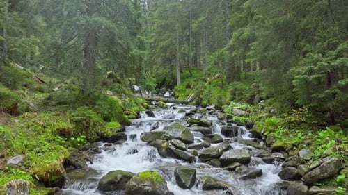 Wald, Fluss, Stein, Wasser, Berge, Wald, Tal, Baumreisen