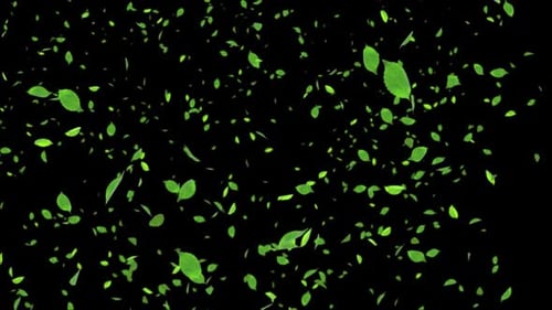 Natürliche grüne Blätter fallen Realistisch 3D Alphakanal 3D