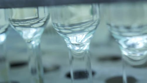 Laboratory beakers with liquid in a science lab