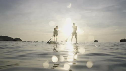 View of a Couple on Their Paddle Surfboards in the Sun with Boats in the Background