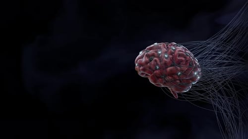 Brain Wire Connected to Machine Interface Loop Processing Uploading Information Consciousness