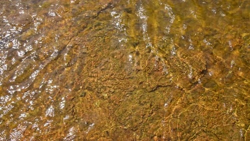 The Flow of a Mountain River
