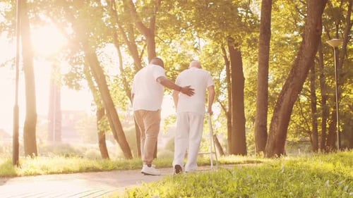 AfricanAmerican Caregiver and Old Man Professional Nurse and Patient in a Nursing Home Assistance