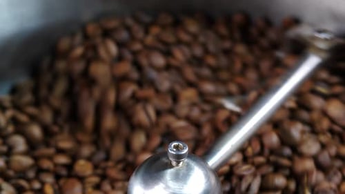 Roasted Coffee Beans Swirling in Roasting Machine
