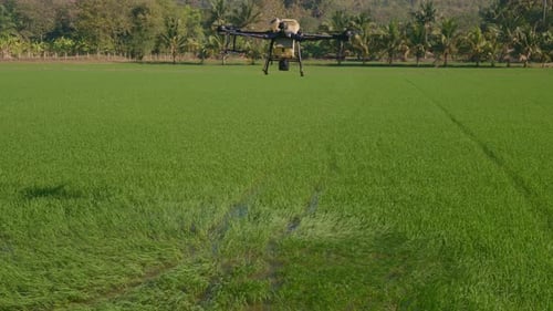 Agricultural Drone Flying Over Green Field