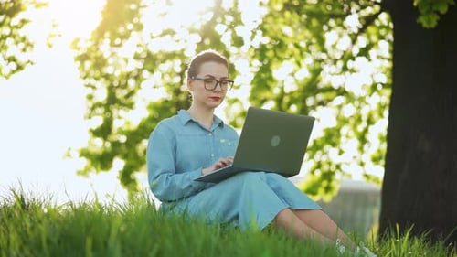 Busy Attractive Woman Working at the Laptop As Sitting on Grass in City Park