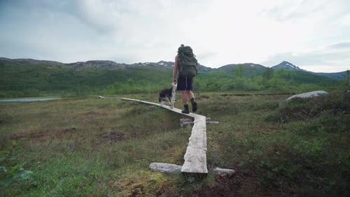 Male Hiker With A Dog Walking On A Wood Plank Path Heading Towards A River At Anderdalen National Pa