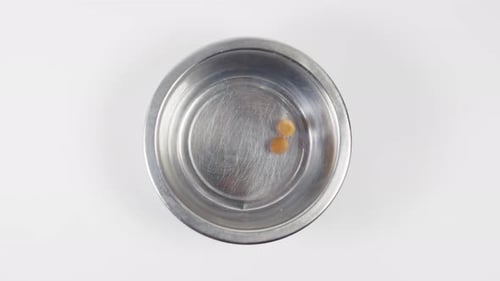 Top View Pet Food Dog Food Falls Into an Iron Bowl on a White Background