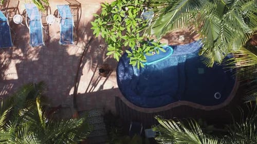Aerial view: Latina woman leaves resort pool to relax on lounge chair