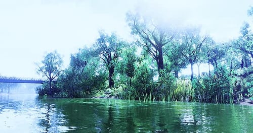 Serene River Flowing Through Lush Green Forest Landscape
