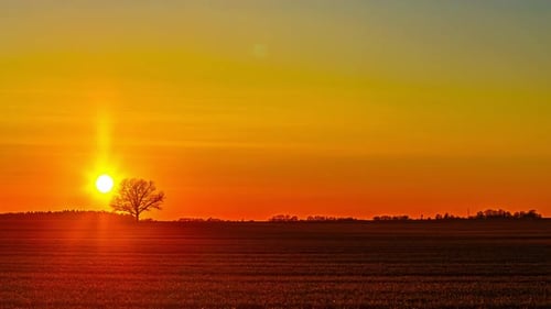 Magical sunset behind lonely tree silhouette in agriculture fields, time lapse