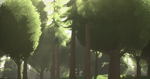 Sunlight Filtering Through Leafy Trees in a Vibrant Forest Setting