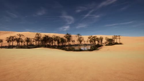 Oasis Surrounded By Sand Dunes Under a Blue Sky in a Desert Landscape