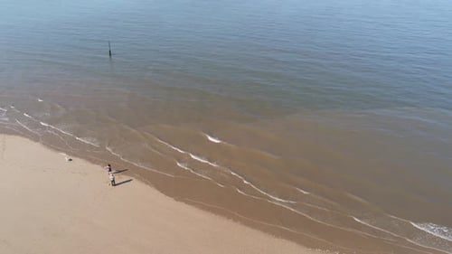 Tourists walking dog on golden sunny sandy beach next to ocean tide aerial view