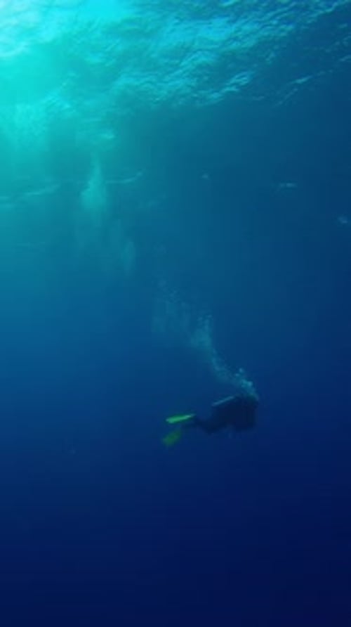 One scuba diver swims in blue depths of ocean illuminated by sunrays, backlit