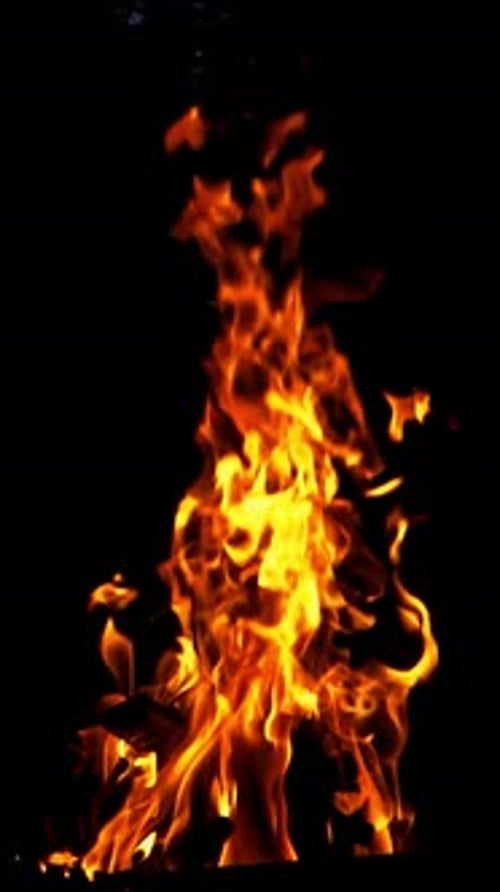 Feuerflamme auf schwarzem Hintergrund. Feuer in der Dunkelheit. Vertikales Video in Zeitlupe