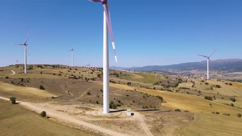 Windenergierosen